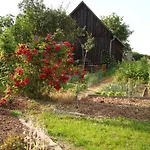Gospodarstwo wiejskie Strohmayerhof *